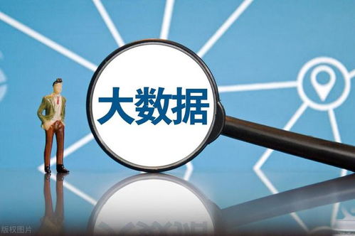 網絡安全軟件國產化 大數據時代下，八朵“金花”如何引領風潮